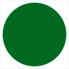 GOLDEN ROSE FLASH LASH ЦВЕТНАЯ ТУШЬ ДЛЯ РЕСНИЦ 02 FOREST GREEN 9МЛ