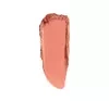 PASTEL PRO FASHION РУМЯНА ДЛЯ ЩЕК 42 ROSERY 3,6Г