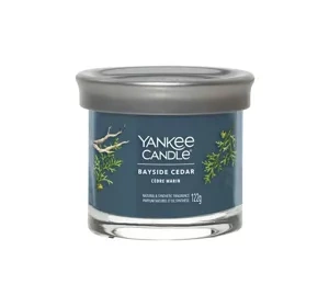 Yankee Candle Signature ароматична свічка Bayside Cedar 122г
