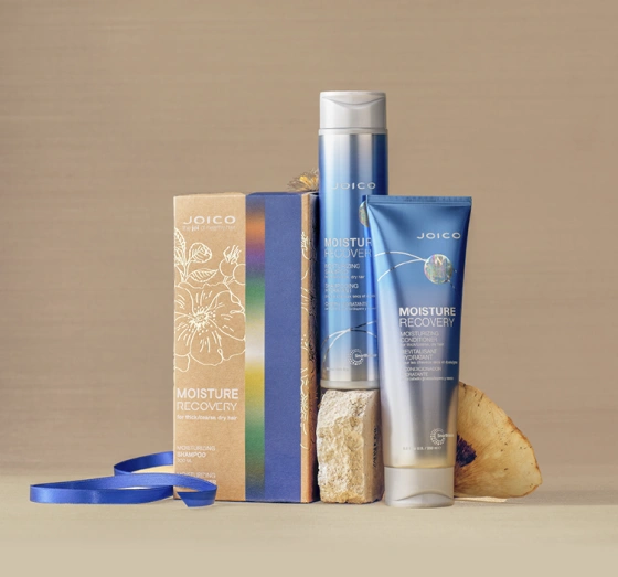 Joico Moisture Recovery набір для догляду за сухим волоссям: шампунь 300 мл + кондиціонер 250 мл