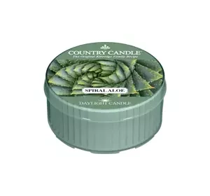 COUNTRY CANDLE DAYLIGHT АРОМАТИЧЕСКАЯ СВЕЧА SPIRAL ALOE 42Г