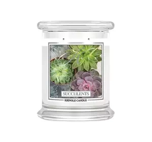 KRINGLE CANDLE АРОМАТИЧЕСКАЯ СВЕЧА С ДВУМЯ ФИТИЛЯМИ MEDIUM SUCCULENTS 411Г