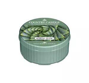 COUNTRY CANDLE DAYLIGHT АРОМАТИЧЕСКАЯ СВЕЧА SPIRAL ALOE 42Г