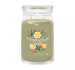 YANKEE CANDLE SIGNATURE АРОМАТИЧЕСКАЯ СВЕЧА SAGE & CITRUS 567Г