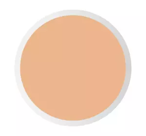 PASTEL PRO FASHION LIQUID CONCEALER ЖИДКИЙ КОРРЕКТОР-КАМУФЛЯЖ ПОД ГЛАЗА 104 TAN 7МЛ