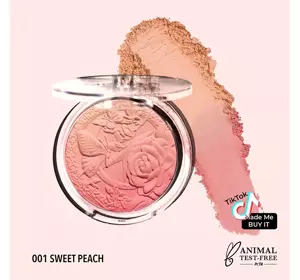 MOIRA SIGNATURE РУМ'ЯНА ДЛЯ ЩІК ОМБРЕ 01 SWEET PEACH 9Г